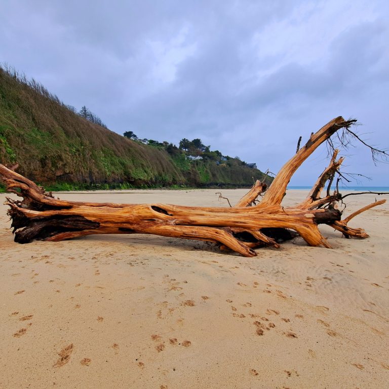Finding Beauty Within: A Beach Meditation Experience